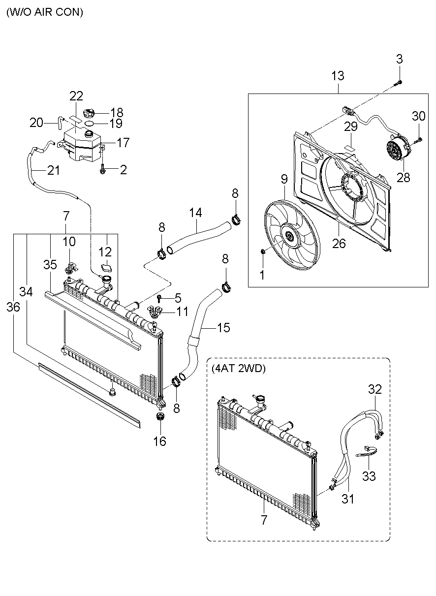 Radiator Hose