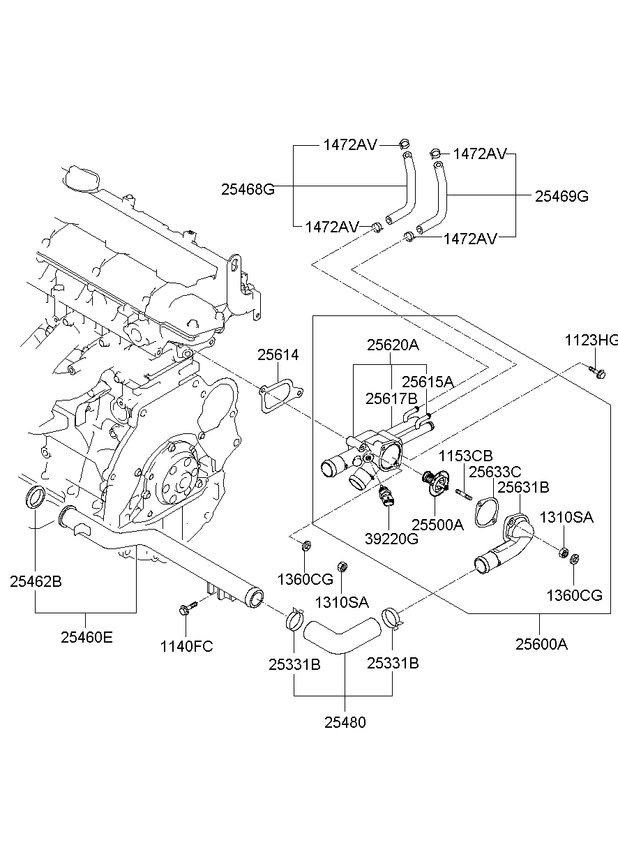 Coolant Pipe & Hose