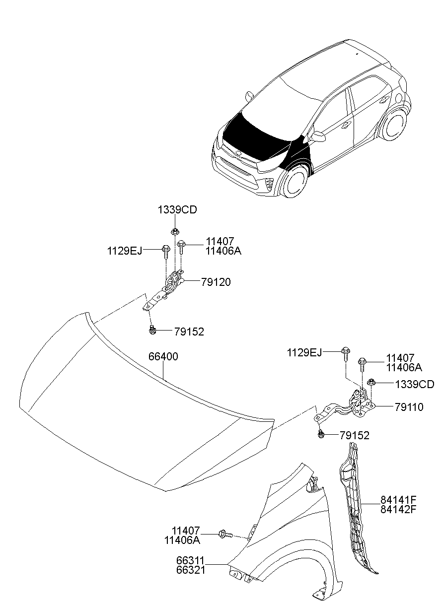 Fender & Hood Panel