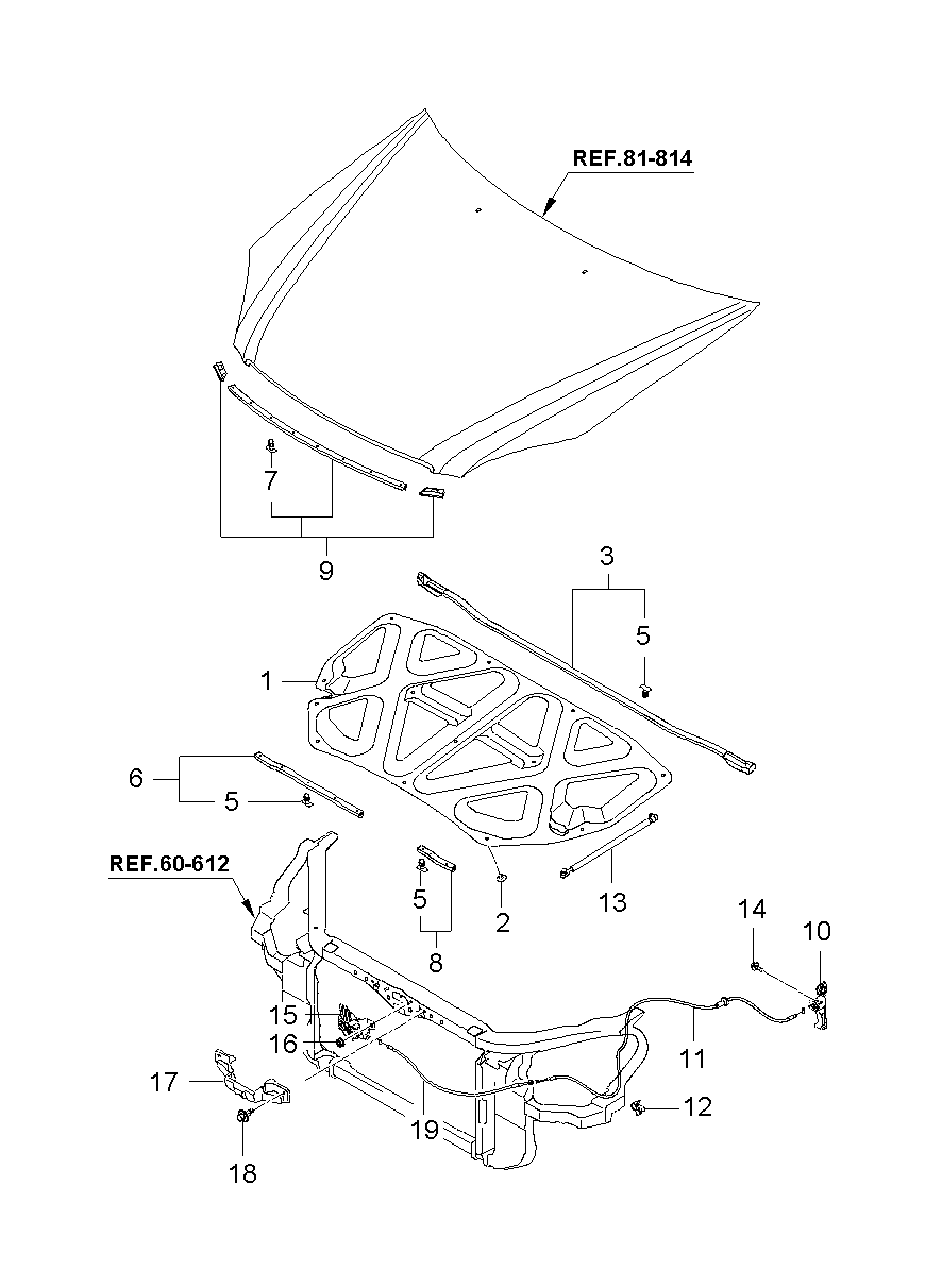 Hood Locking System