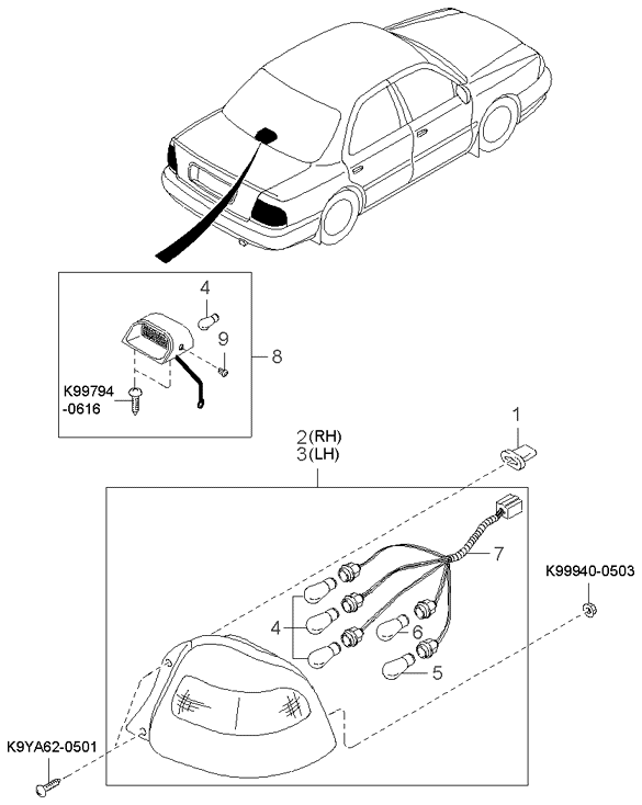 Rear Combination Lamp