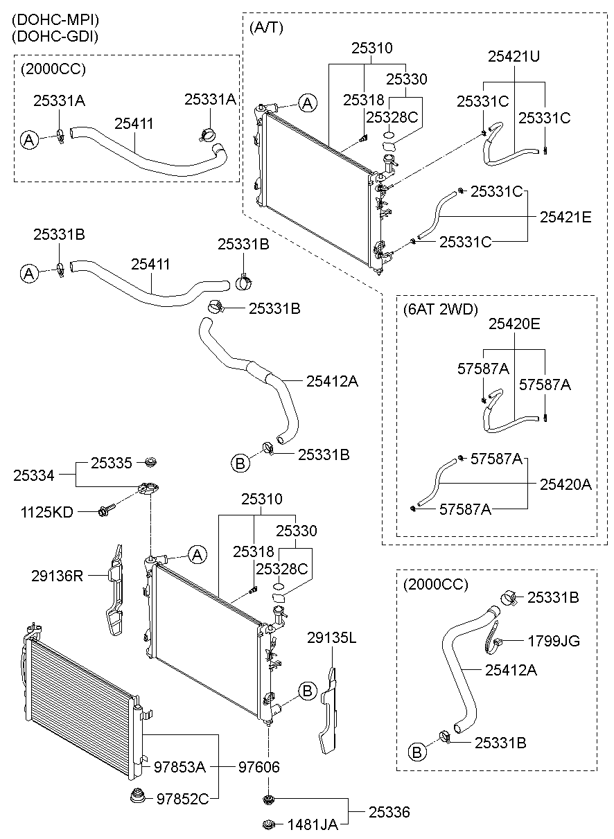 Radiator Hose