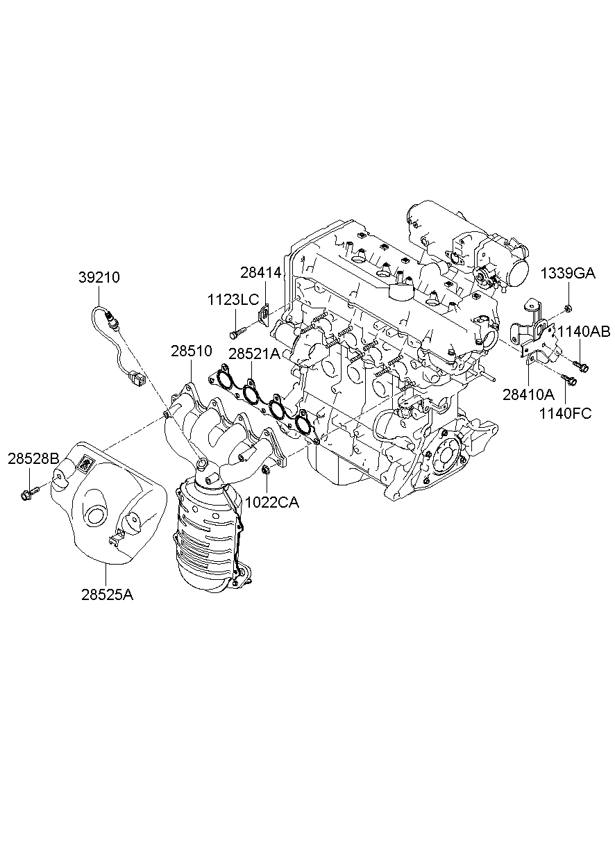 Exhaust Manifold