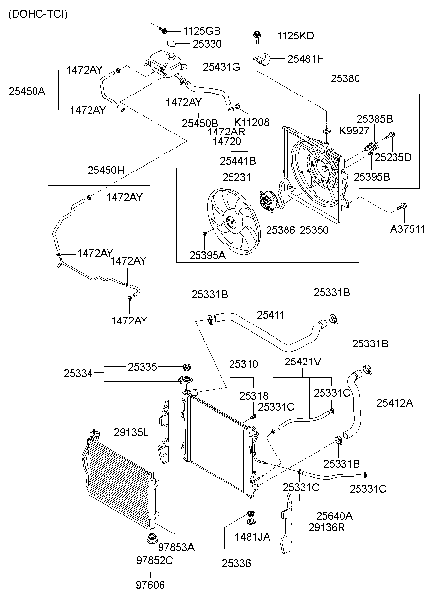 Radiator Hose