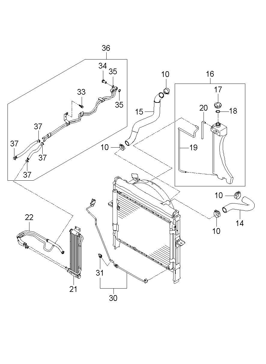Radiator Hose