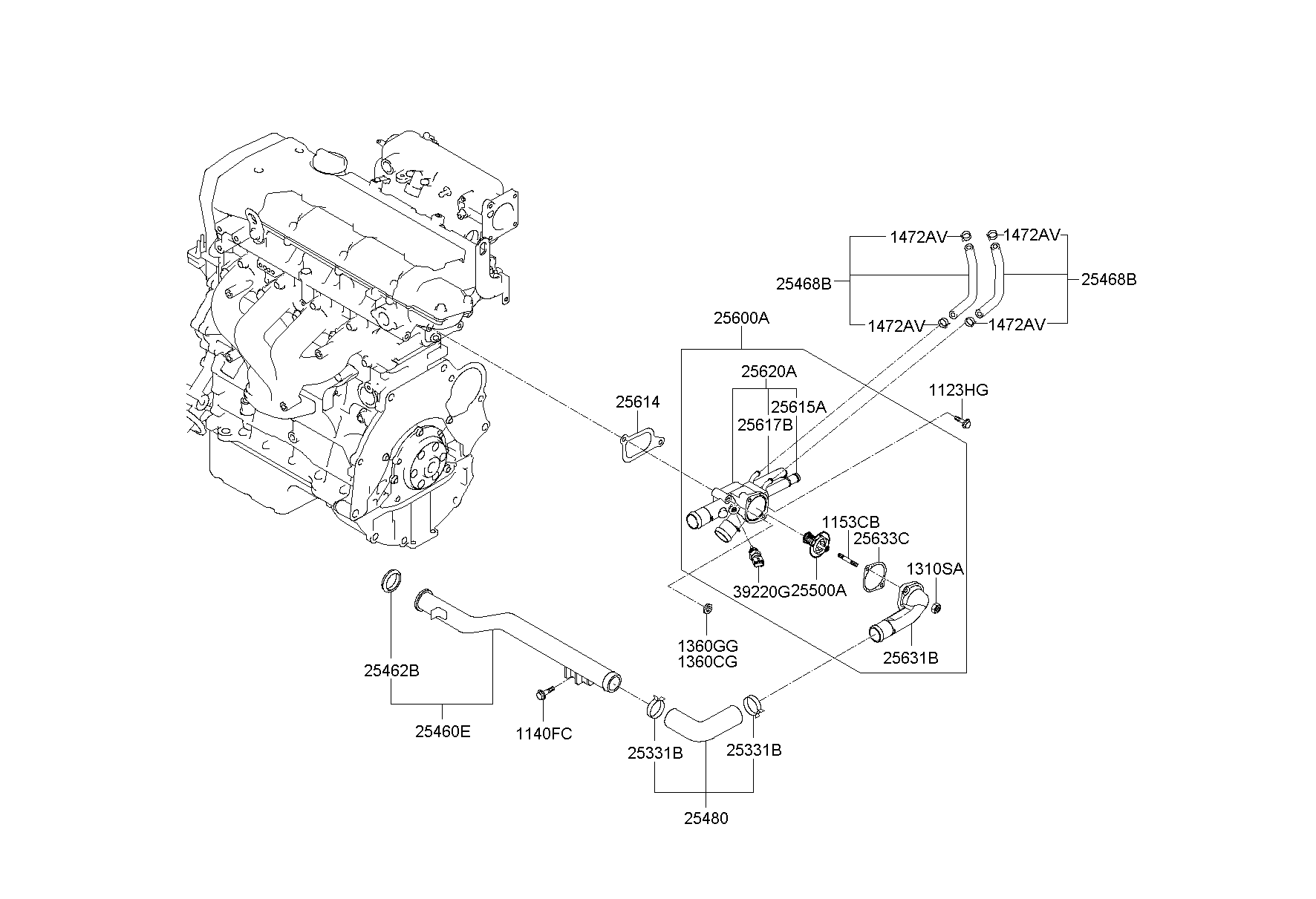 Coolant Pipe & Hose