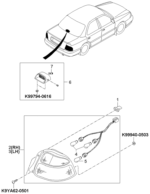Rear Combination Lamp