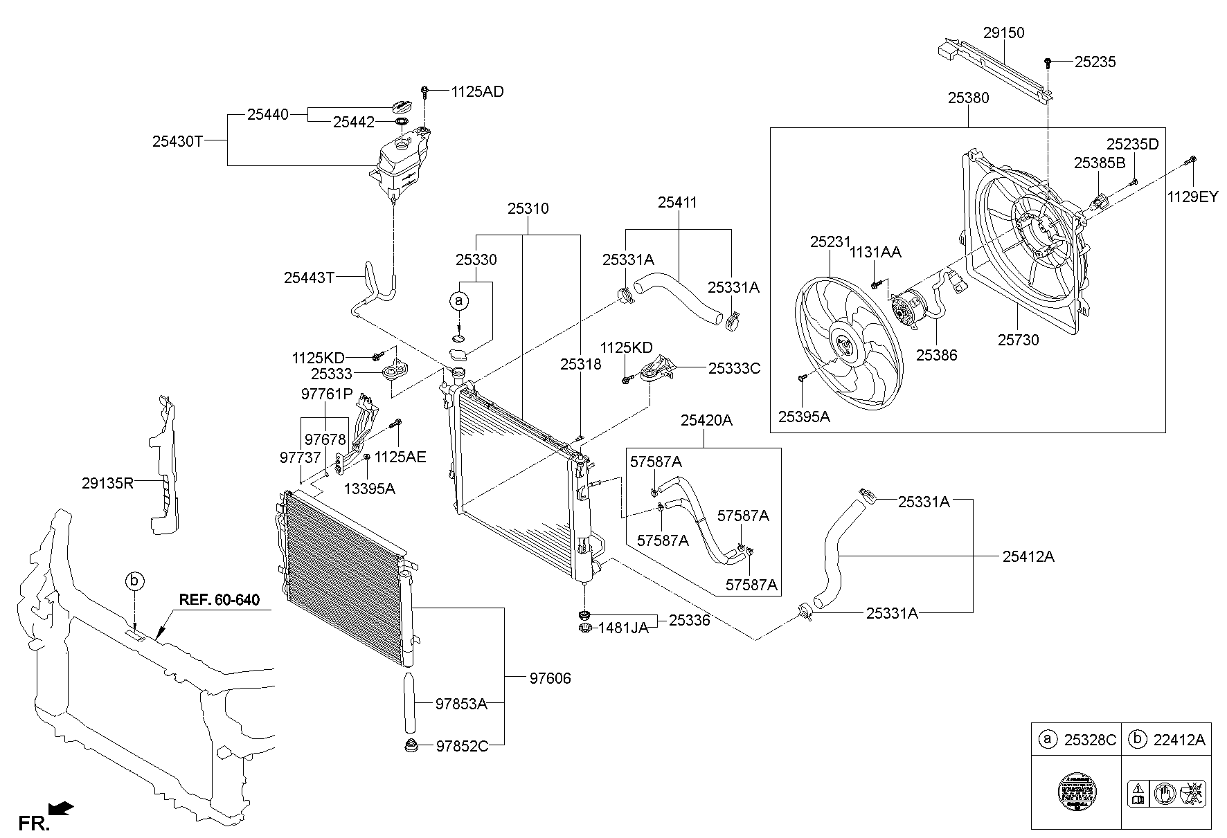 Radiator Hose