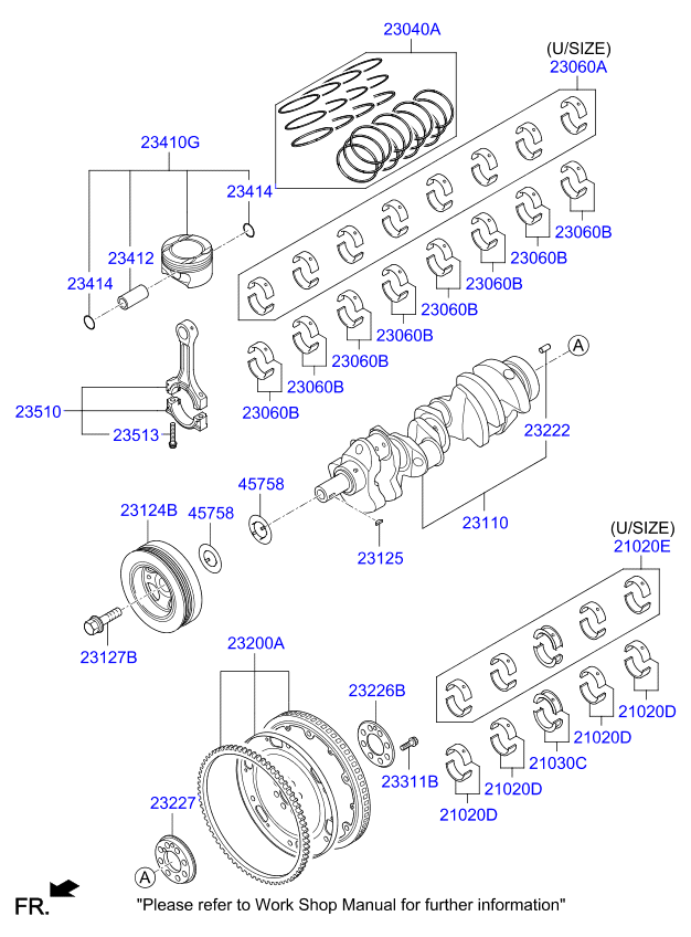 Crankshaft & Piston