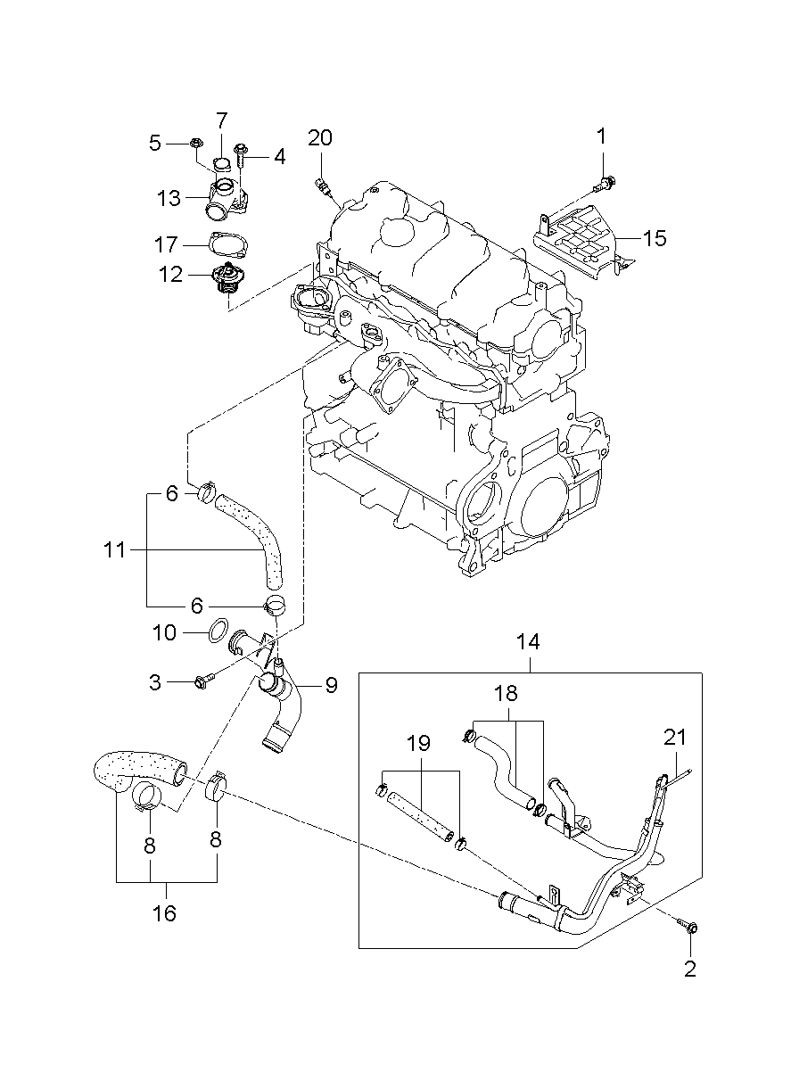 Radiator Hose