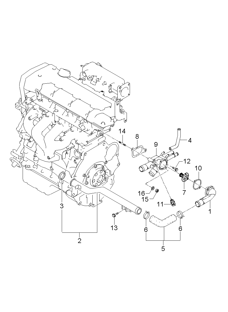 Coolant Hose & Pipe
