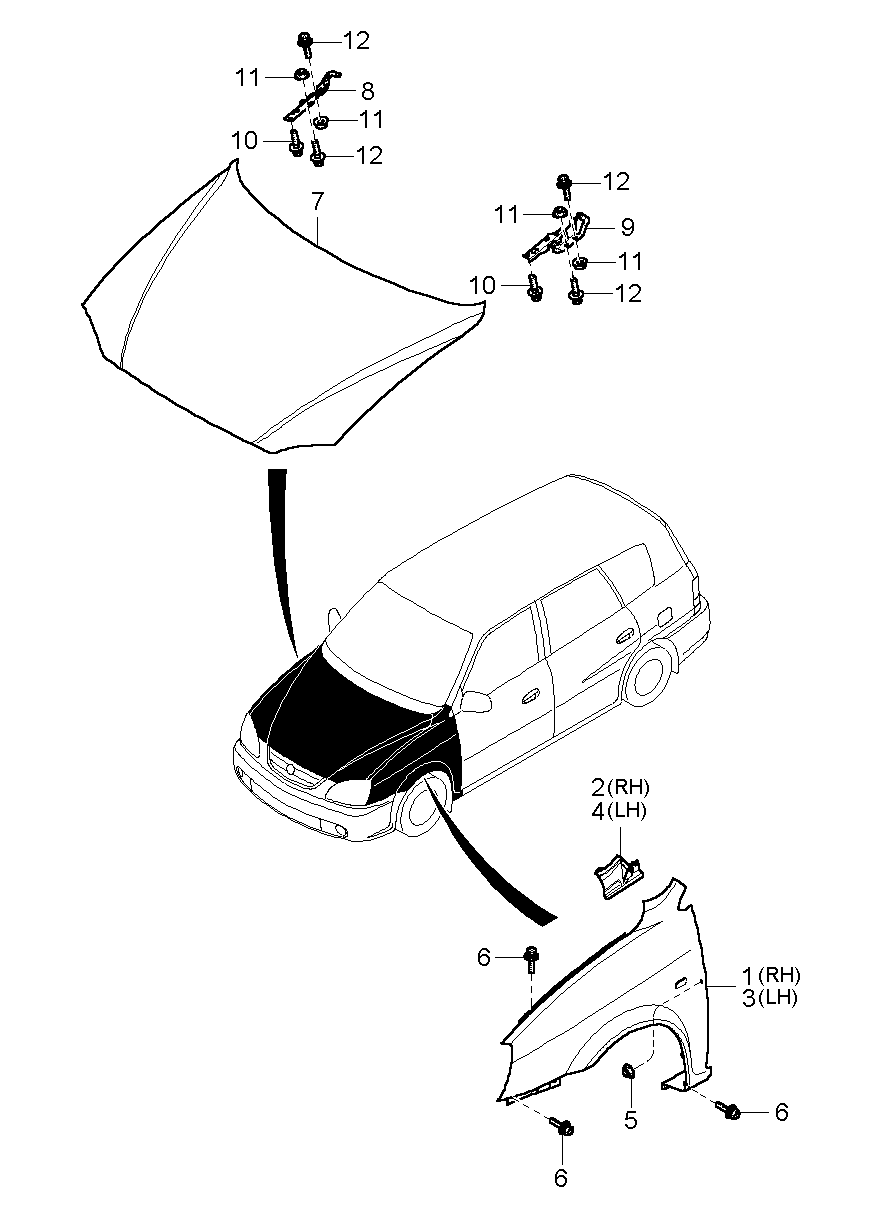 Fender & Hood Panel