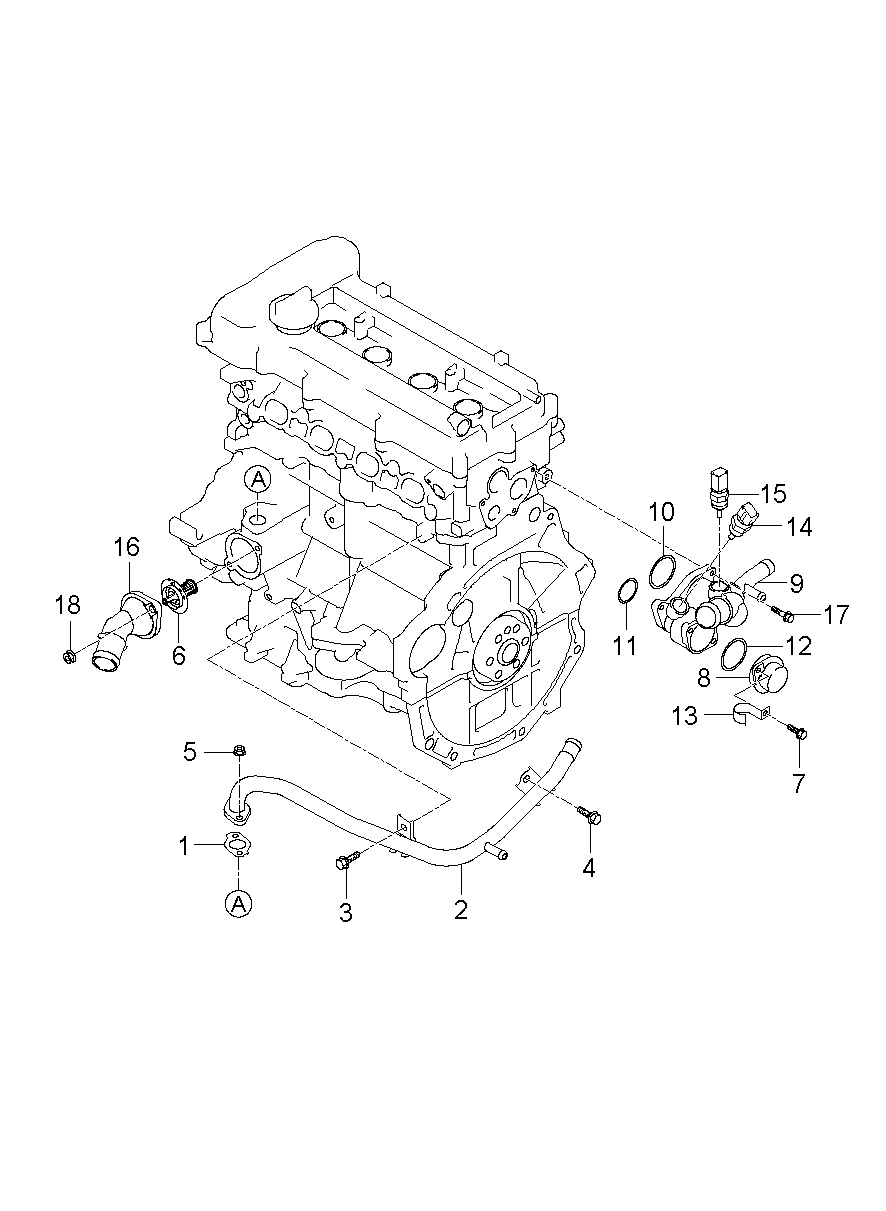 Manguera y tubo de refrigerante