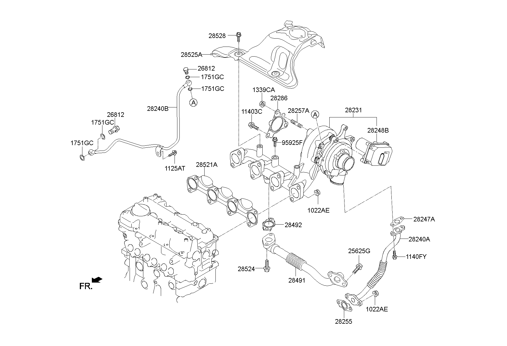 Exhaust Manifold
