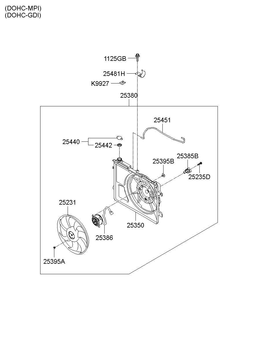 Radiator Hose