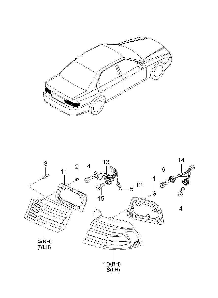 Rear Combination Lamp