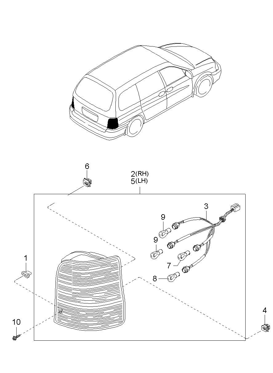 Rear Combination Lamps