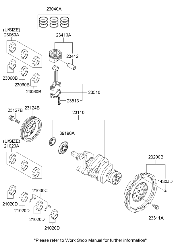 Crankshaft & Piston