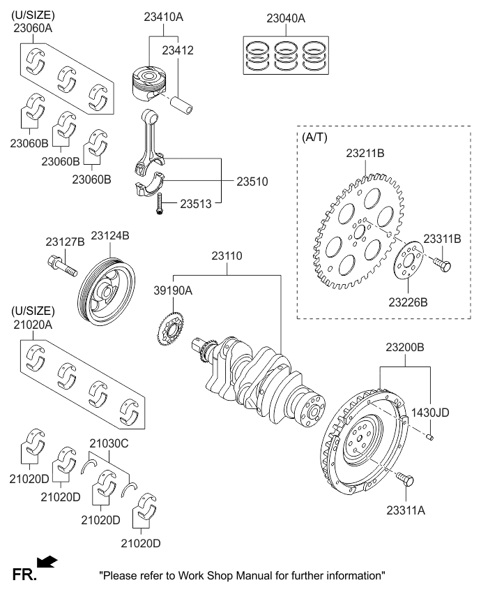 Crankshaft & Piston