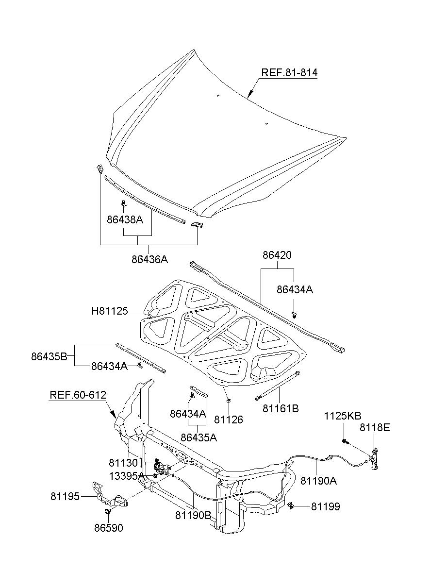 Hood Locking System