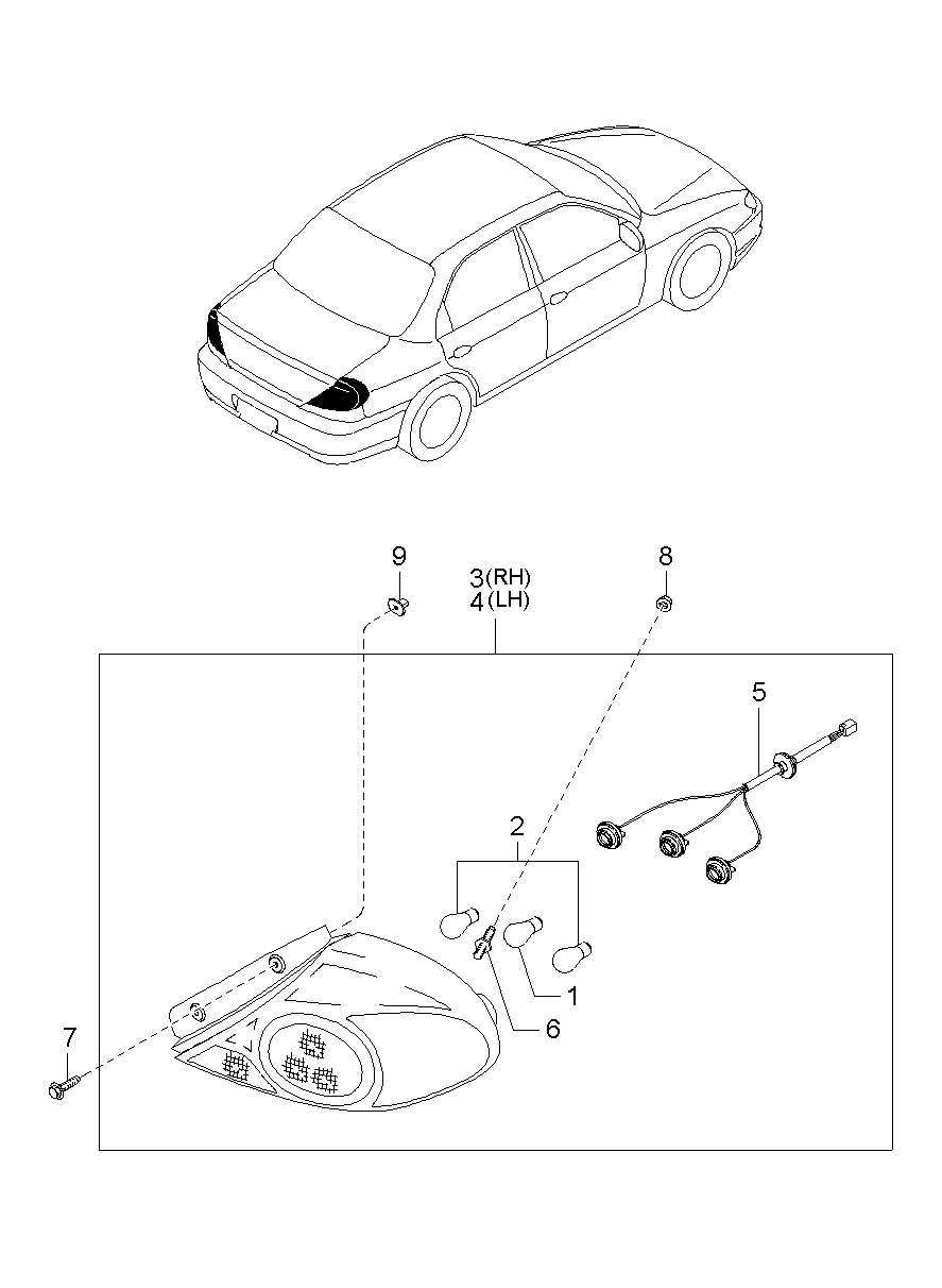 Rear Combination Lamp