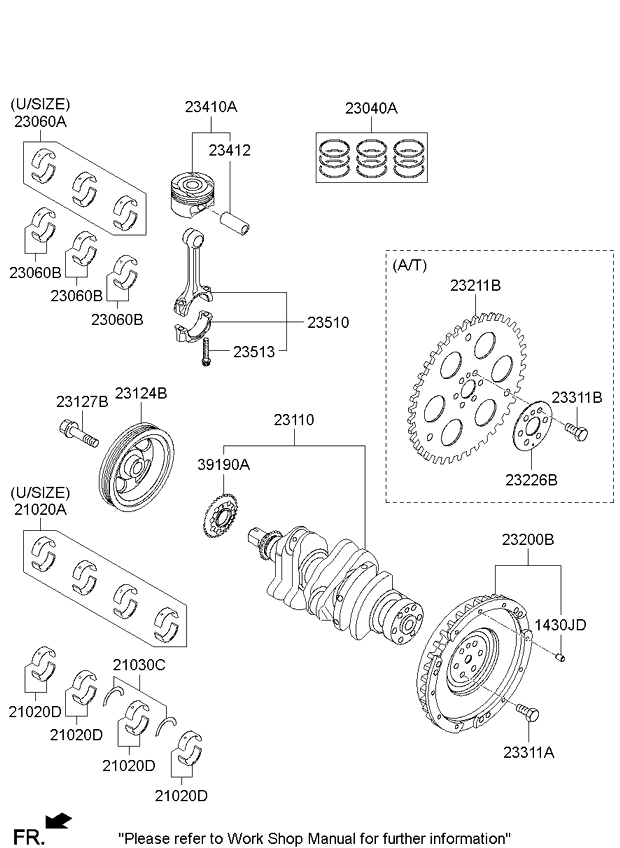Crankshaft & Piston