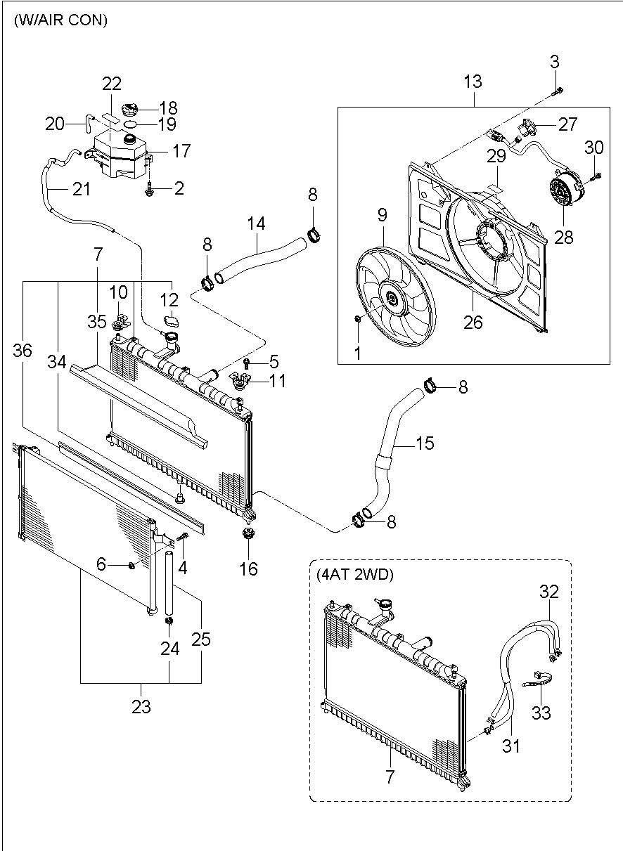 Radiator Hose