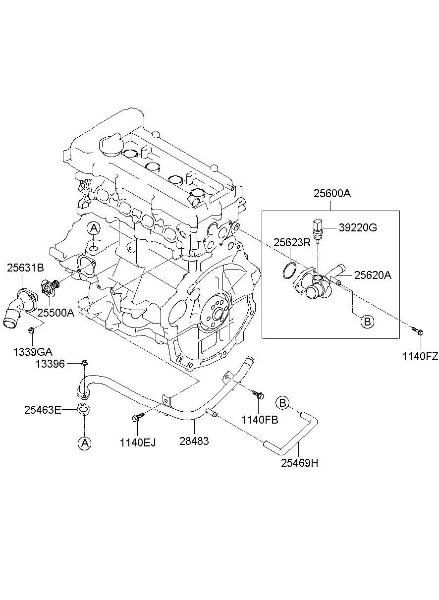 Coolant Pipe & Hose