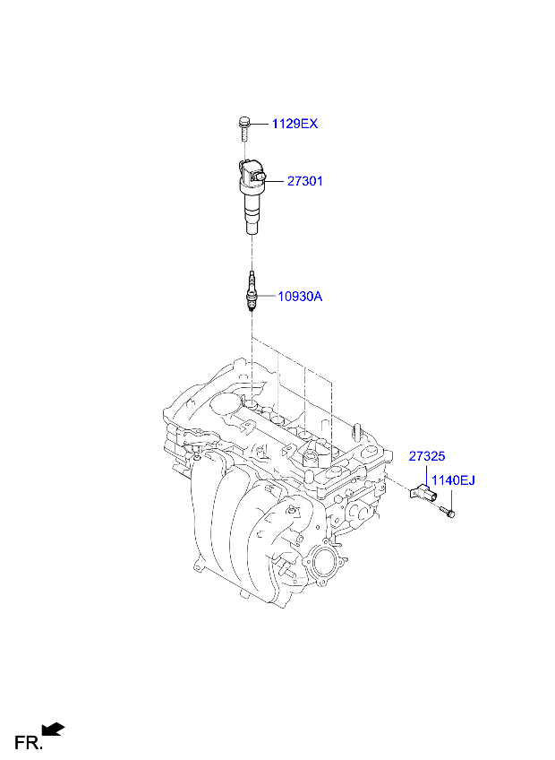 Spark Plug, Cable