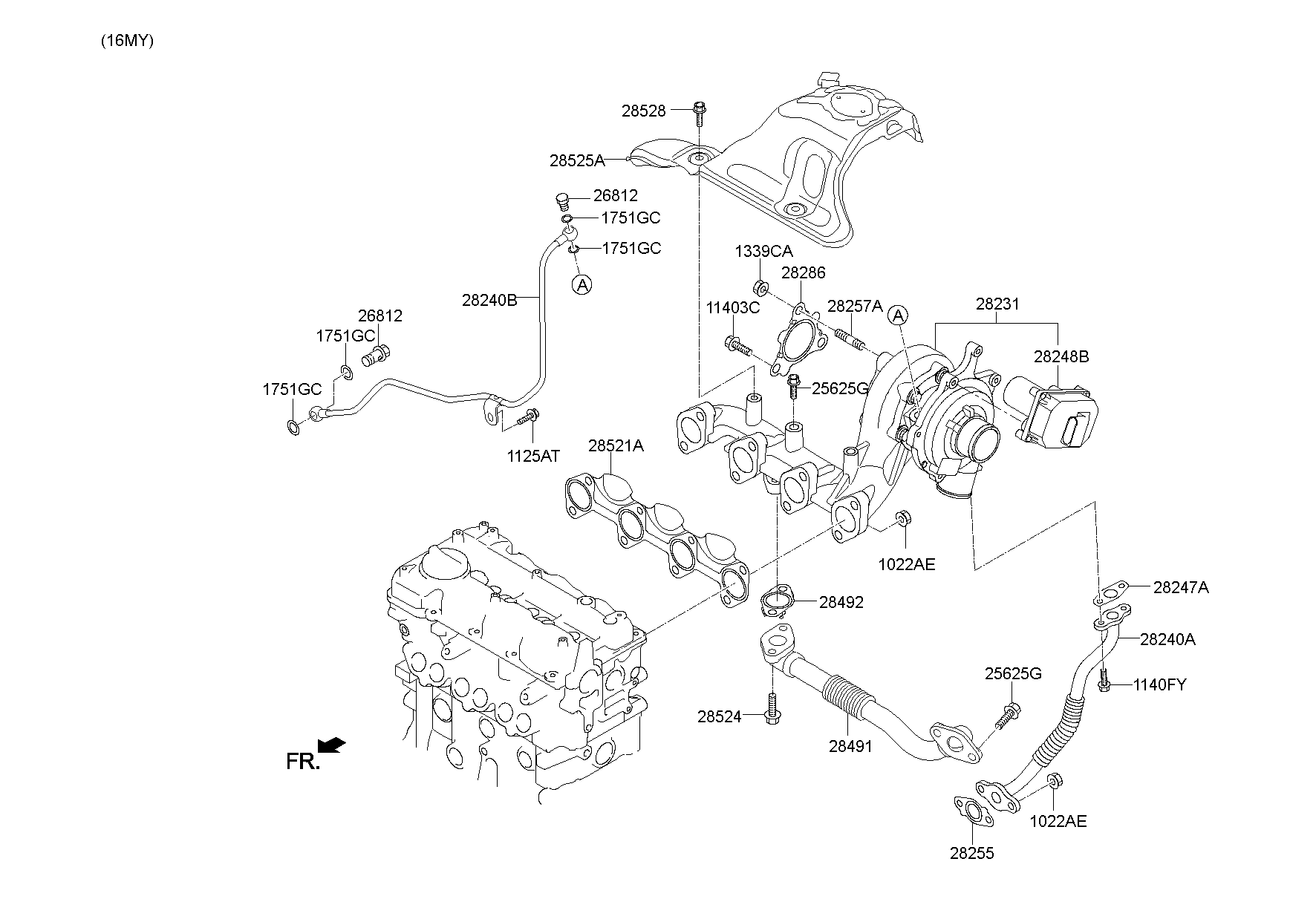 Exhaust Manifold