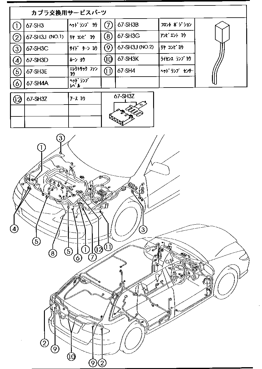 Wiring Harnesses