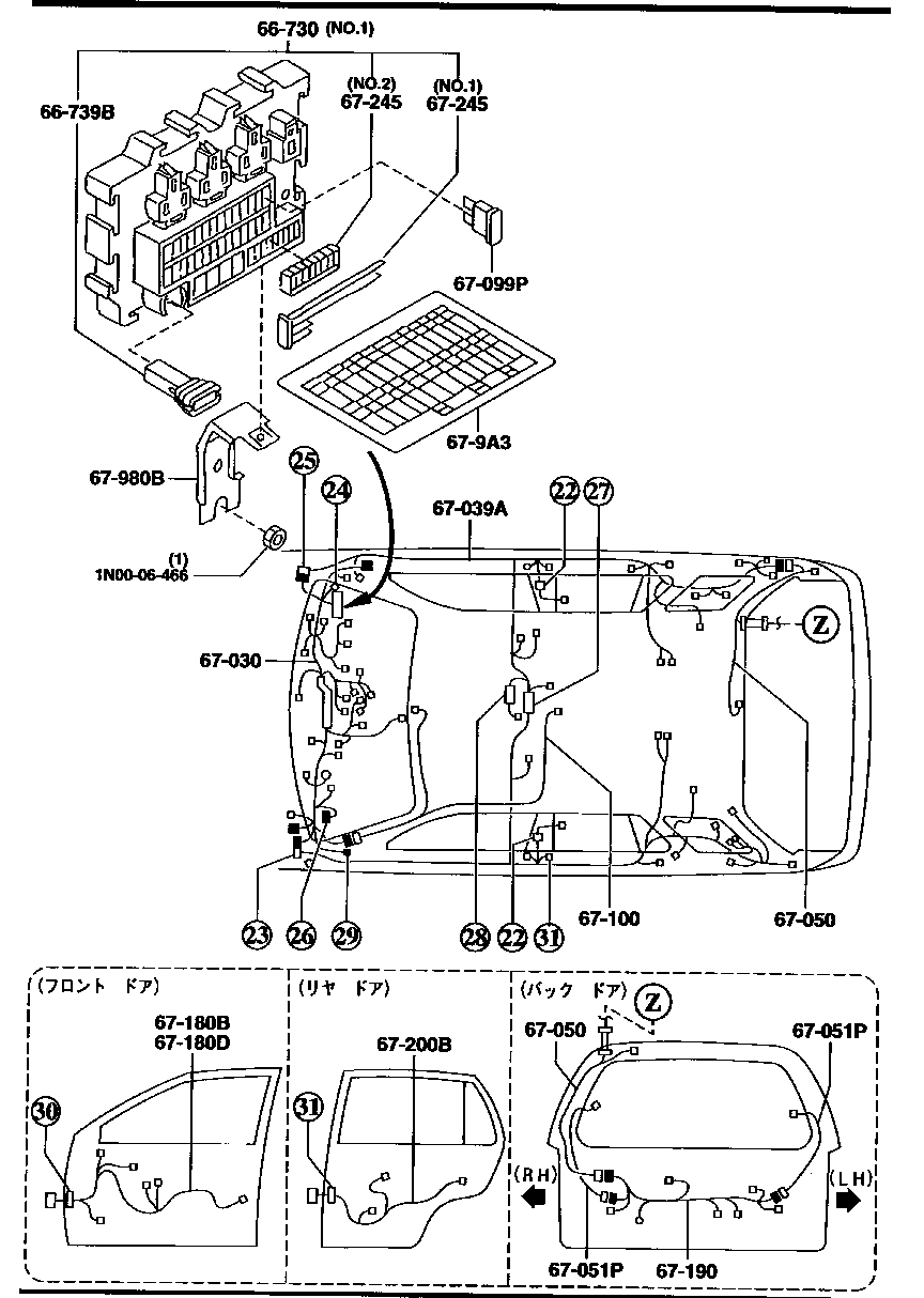 Wiring Harnesses