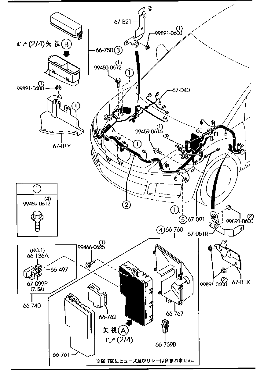 Wiring Harnesses