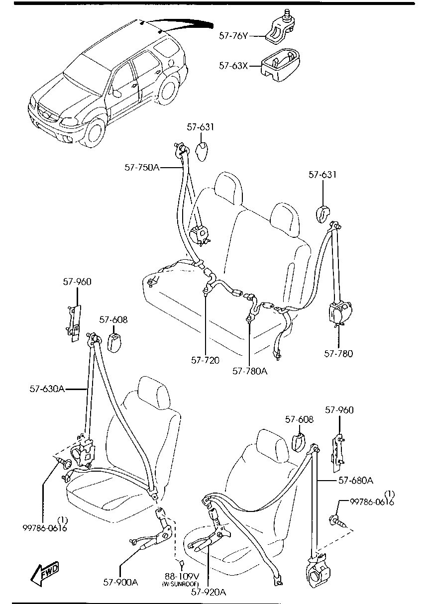 Seat Belts