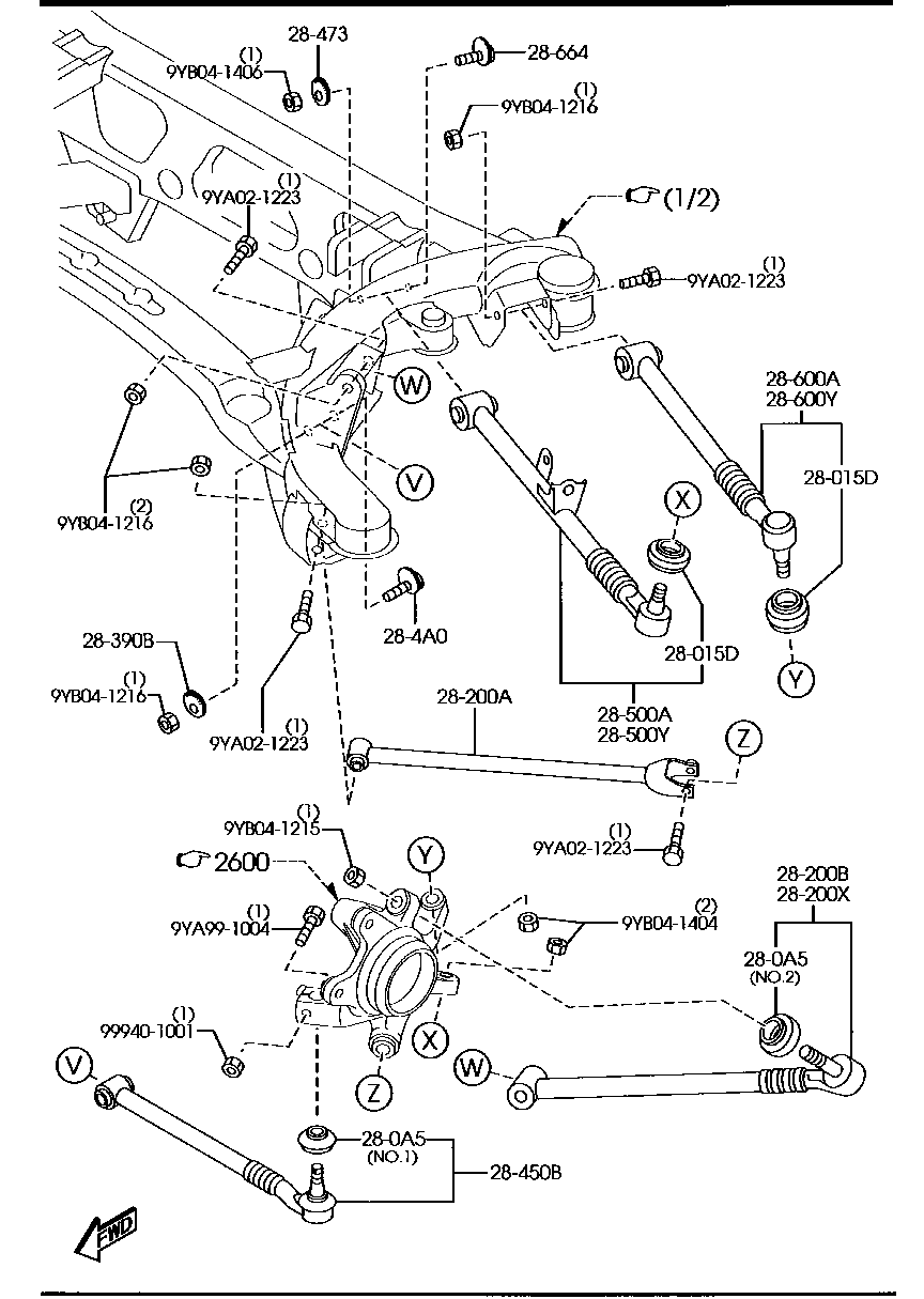 Rear Lower Arms