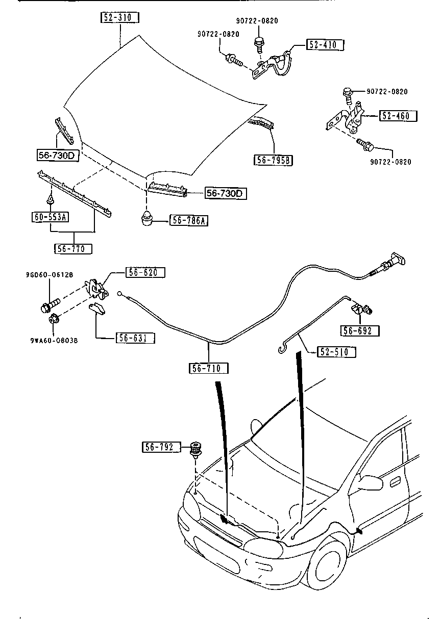 Bonnet