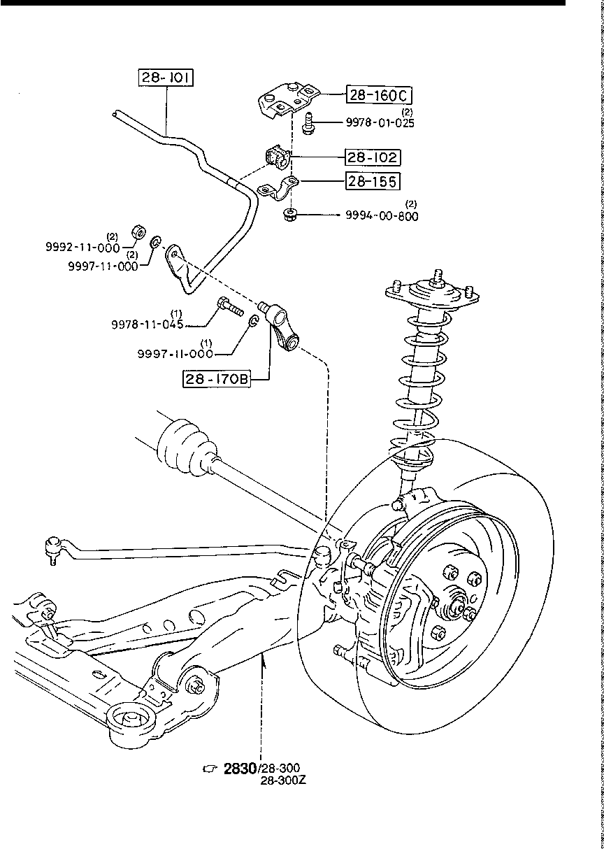 Rear Stabilizer