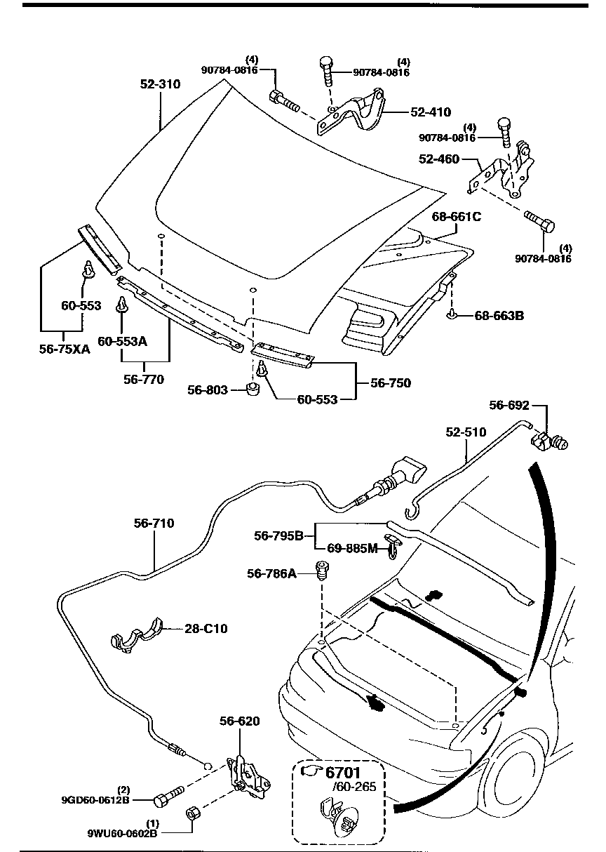 Bonnet