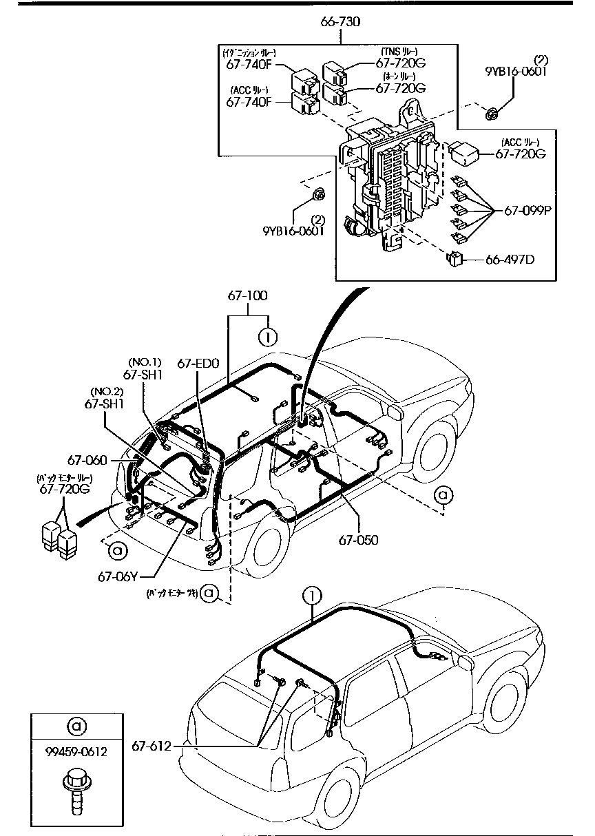 Wiring Harnesses