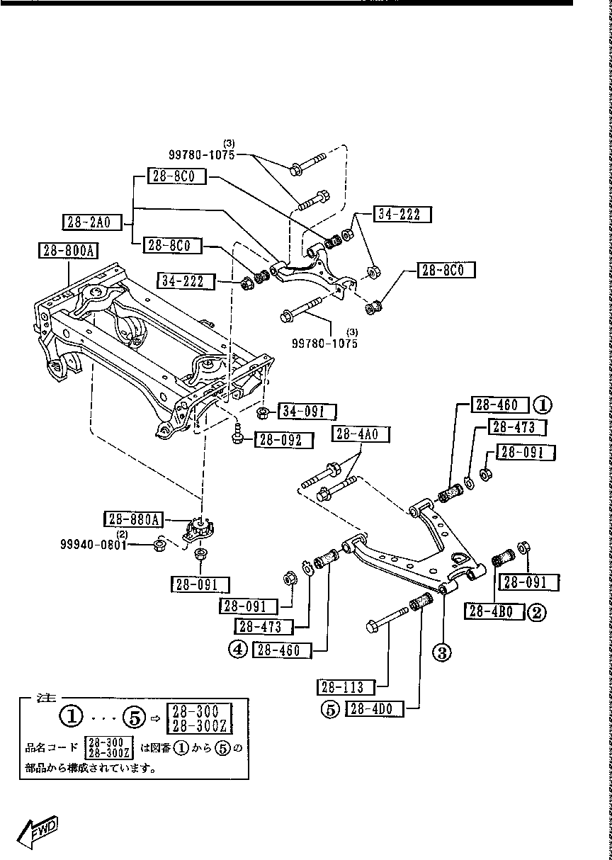 Rear Lower Arms