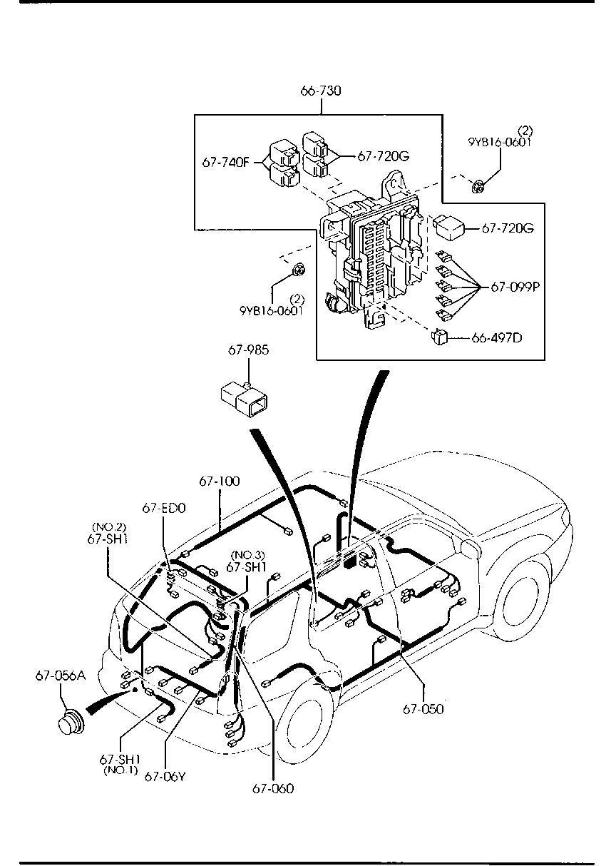 Wiring Harnesses