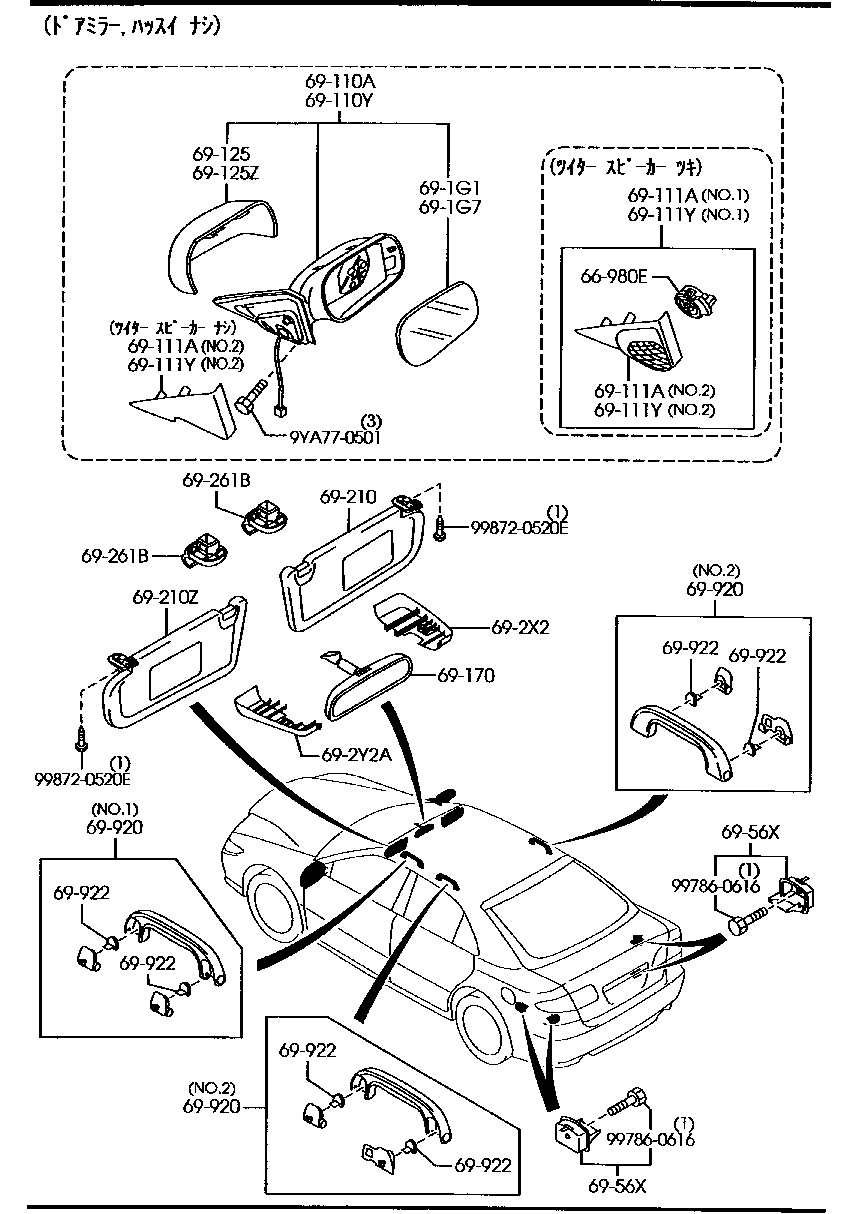 Visors Assist Handles Mirrors