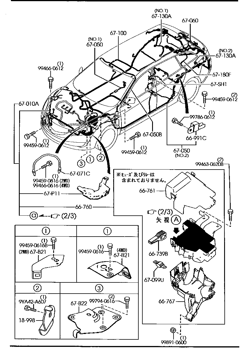 Wiring Harnesses