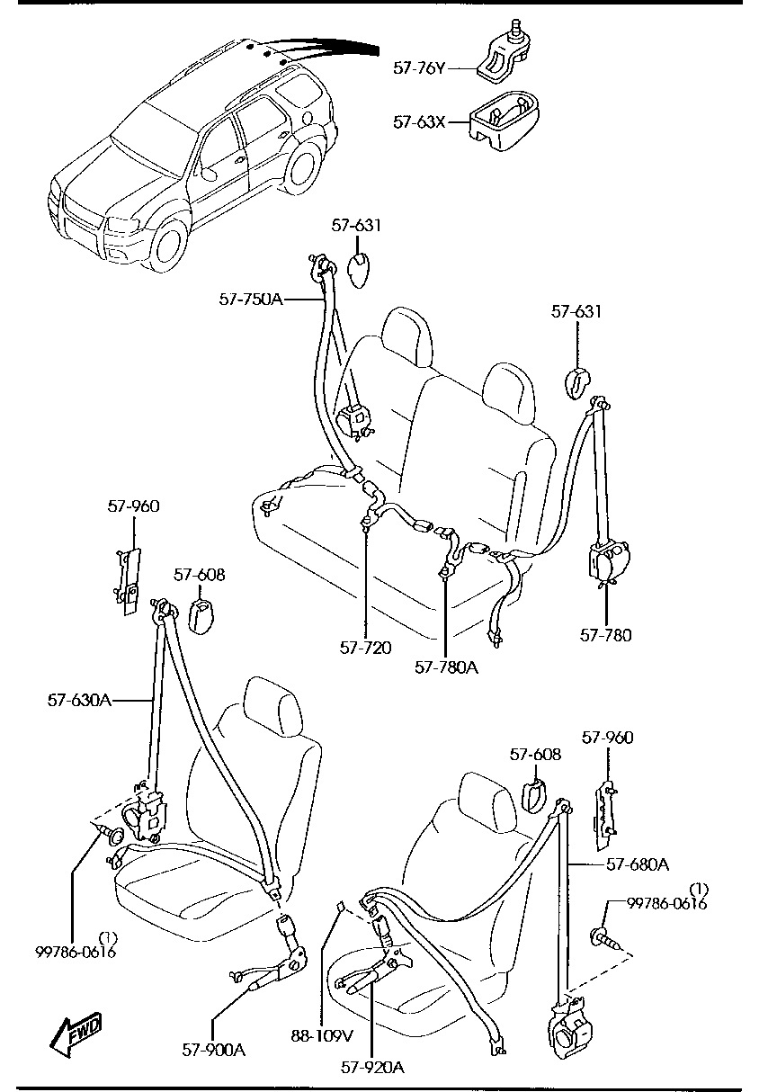 Seat Belts