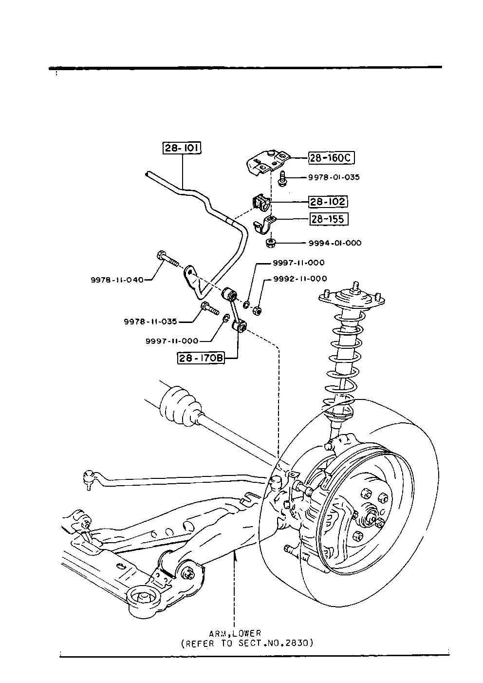 Rear Stabilizer