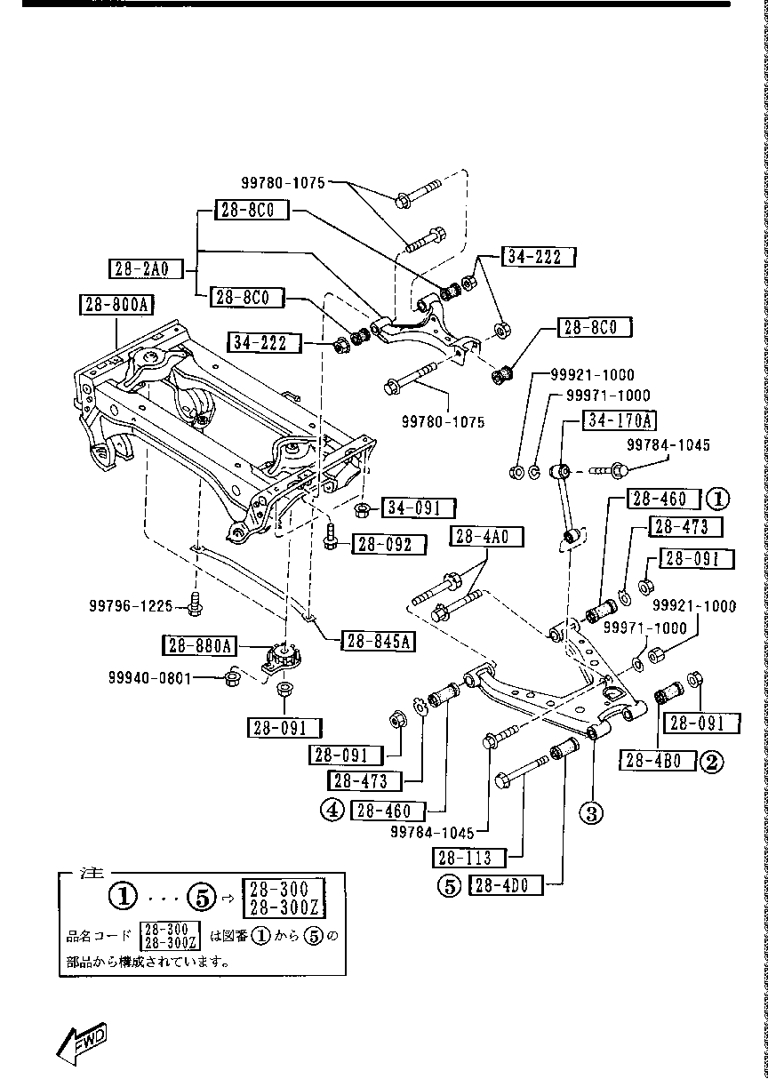 Rear Lower Arms