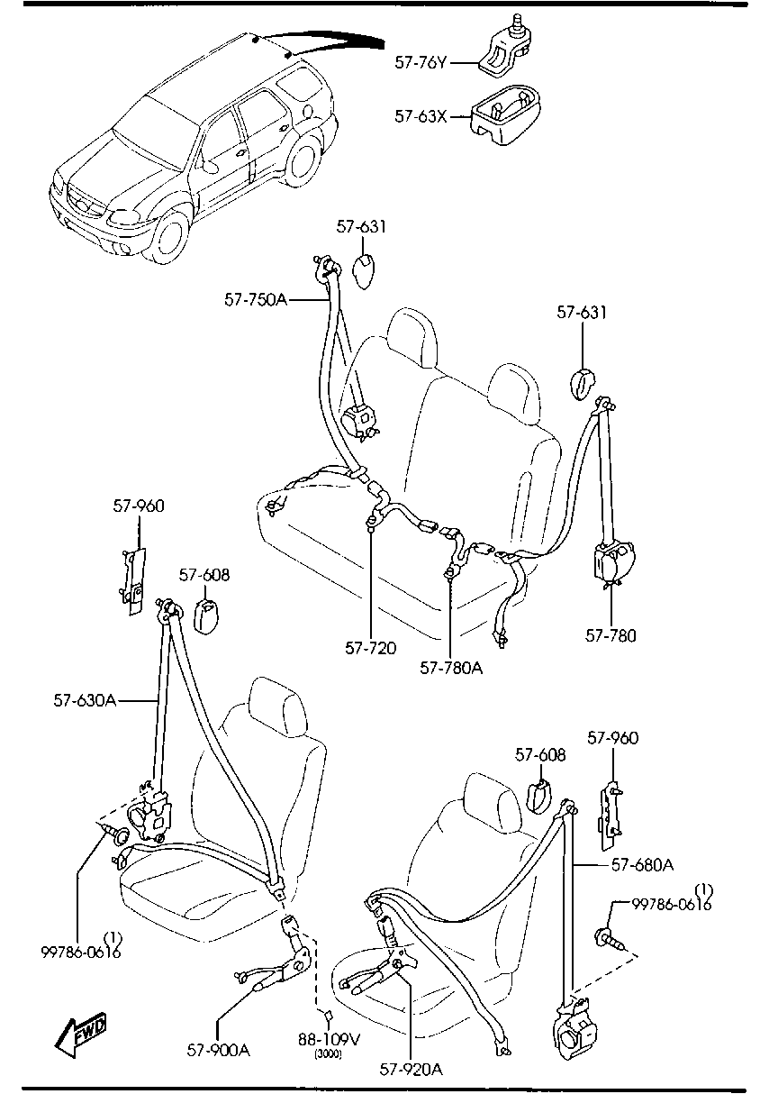 Seat Belts