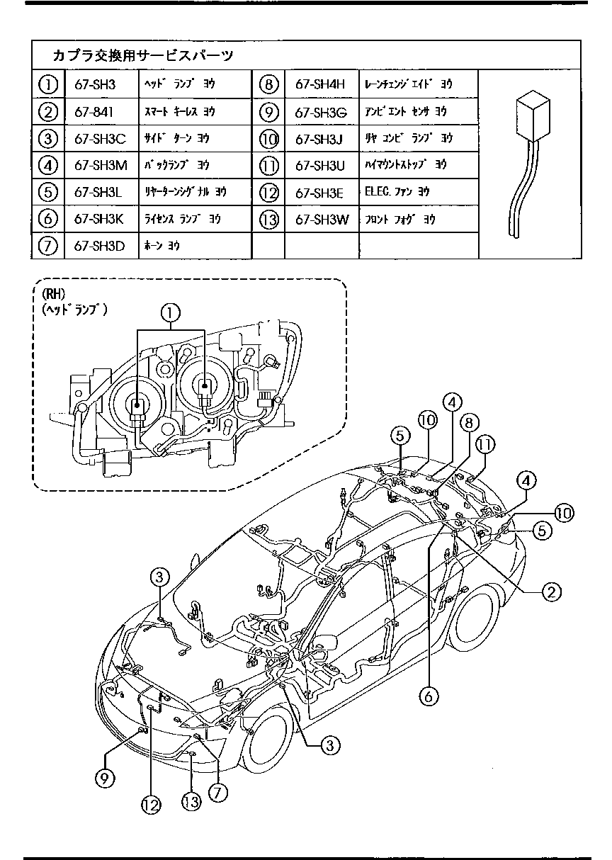 Wiring Harnesses