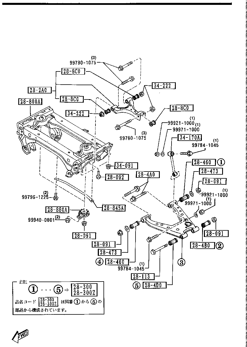 Rear Lower Arms