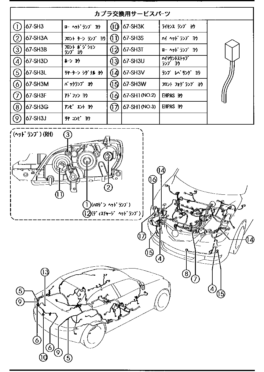 Wiring Harnesses